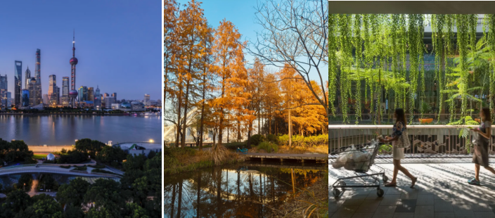 1760518805927771.png 聯(lián)想截圖_20251015165737.png